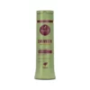 Acondicionador Bananeira Cabellos Tratados Químicamente Haskell 300 ml