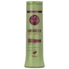 Shampoo Bananeira  Cabellos Tratados Químicamente Haskell 300 ml